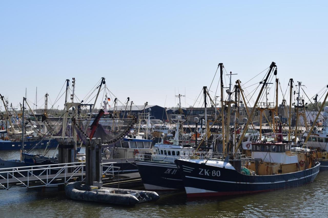 "Het Steechje" In Ie Bij Schiermonnikoog En Ameland Lejlighed Ee Eksteriør billede