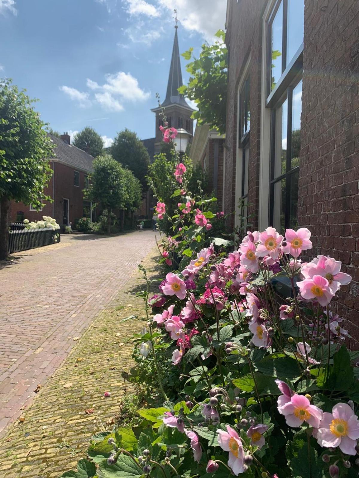"Het Steechje" In Ie Bij Schiermonnikoog En Ameland Lejlighed Ee Eksteriør billede